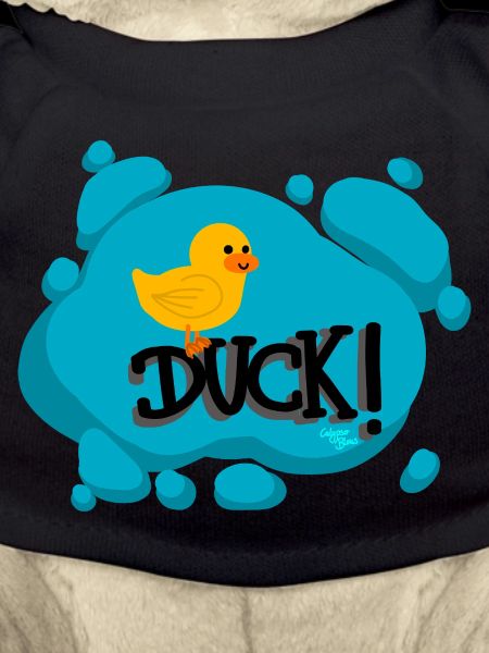 Duck! -CB