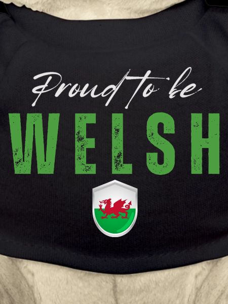 Welsh Pride, made in Wales