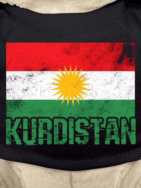 Kurdisches Friedenssymbol mit Kurdistan Kurden 