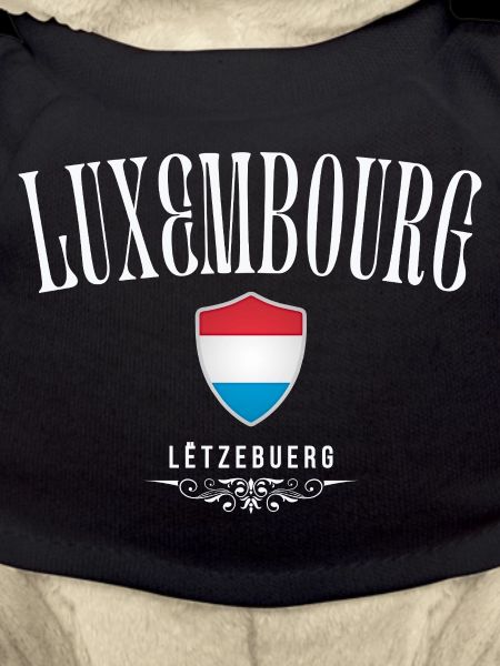 Luxembourg flag, made in Luxembourg