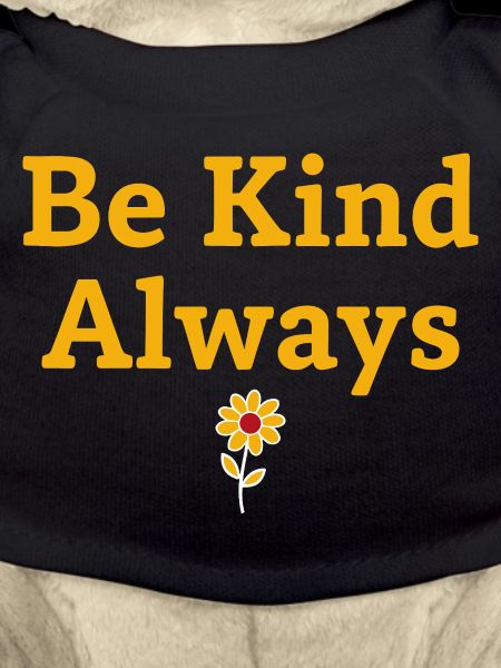 Be Kind Always Statement Saying