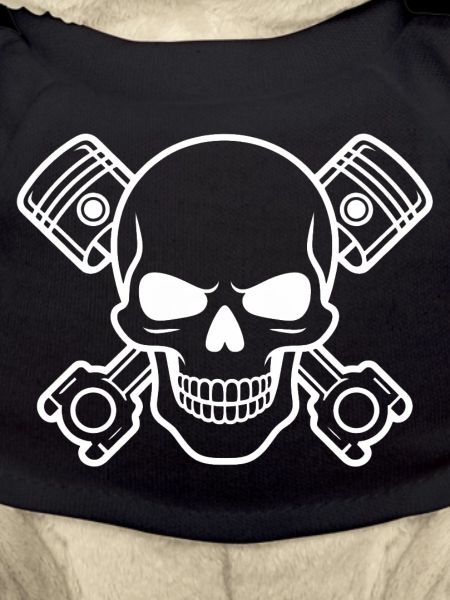 Skull with piston cross