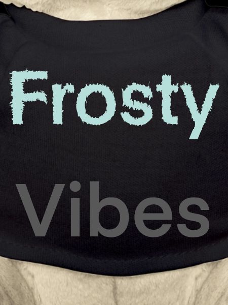 Frosty Vibes