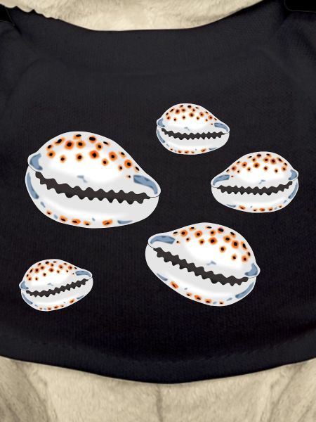 Muscheln