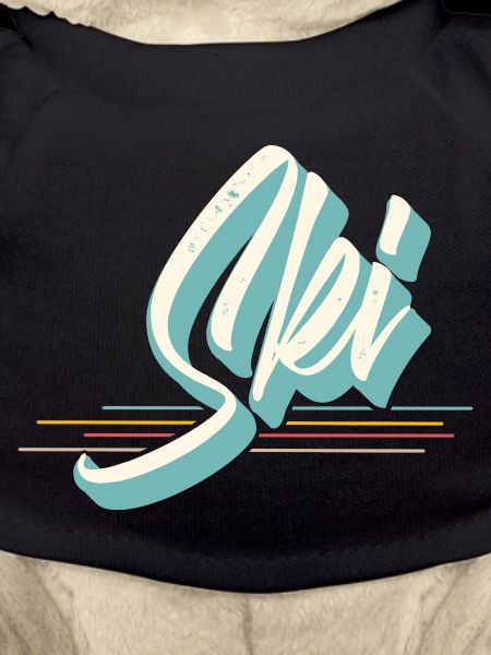 Ski