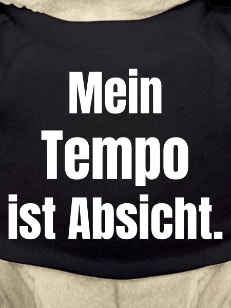Mein Tempo Ist Absicht
