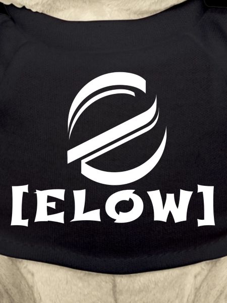 Logo with lettering