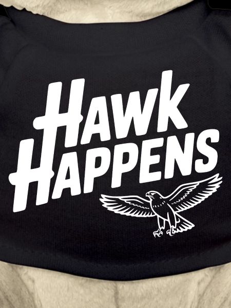 Hawk Happens