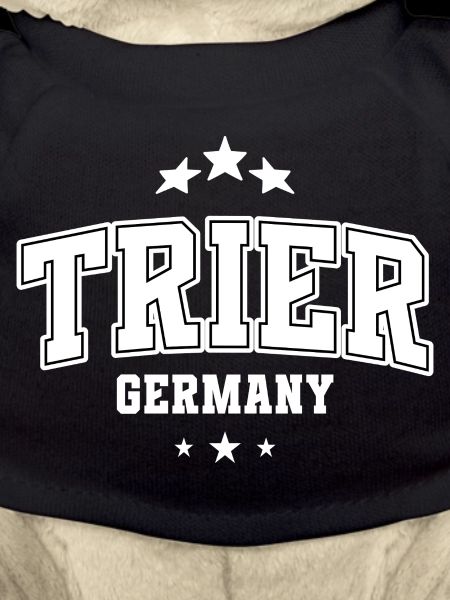Trier Germany Emblem