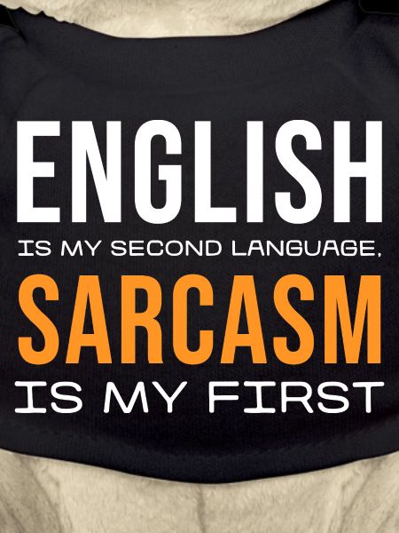 Sarcasm First, English Second