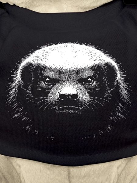 Honey badger
