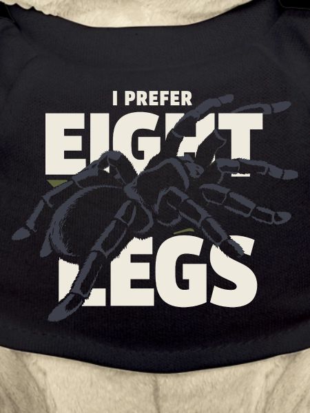 Tarantula Tarantula Holder Spider Owner