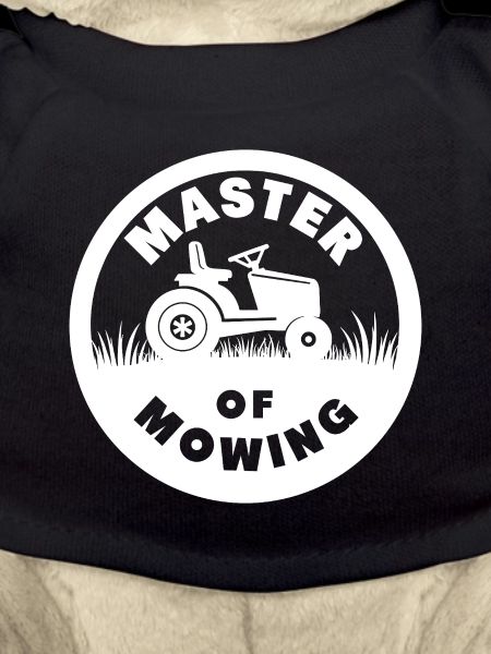 Master of Mowing Rasenmäher Traktor
