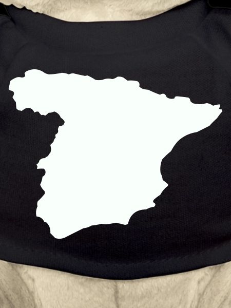 Spain Maps Silhouette Design