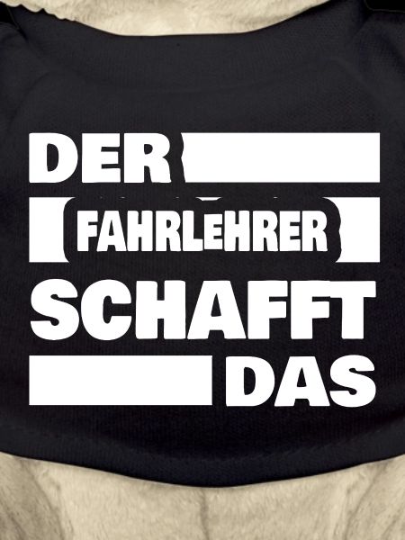 Beruf Fahrlehrer