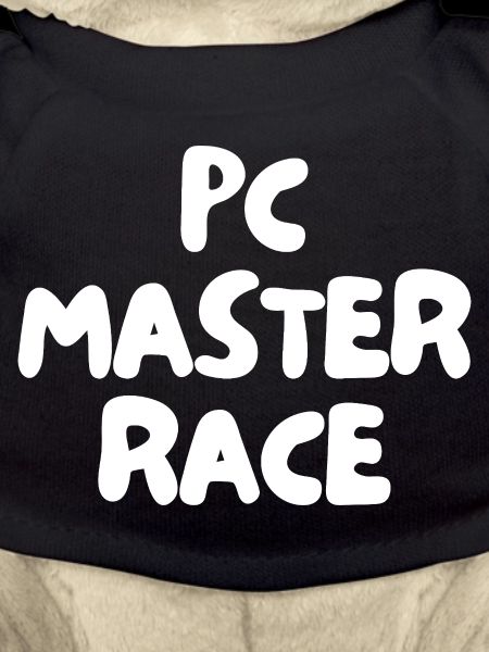 pc master race