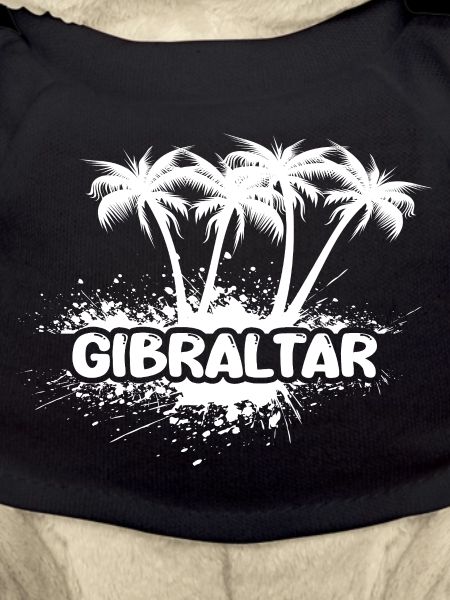 Gibraltar Palm Trees Splash Logo