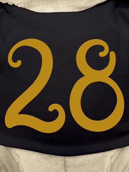 28