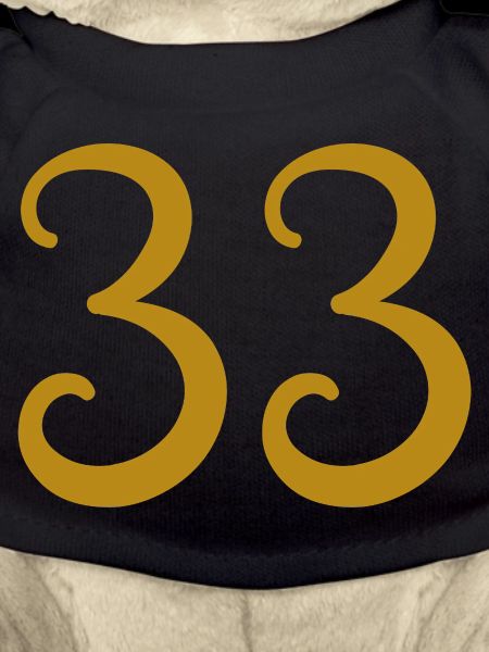 33