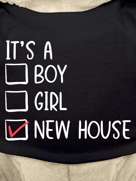 New House Checkbox Illustration