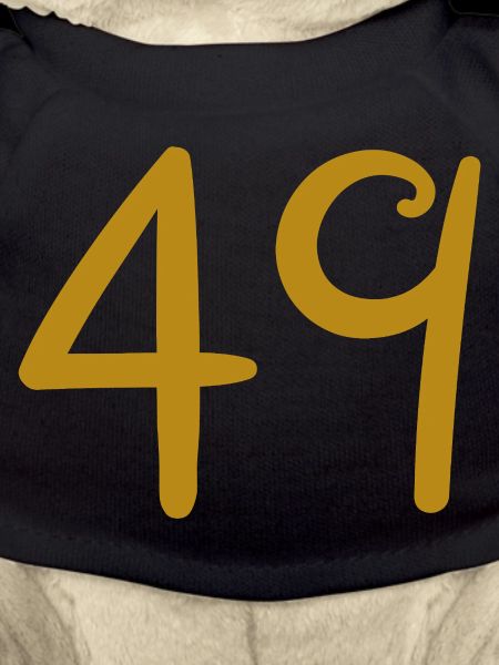 49