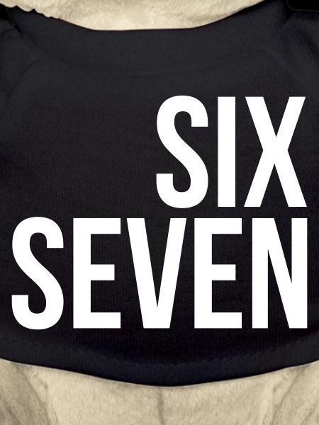 67 "six seven" text