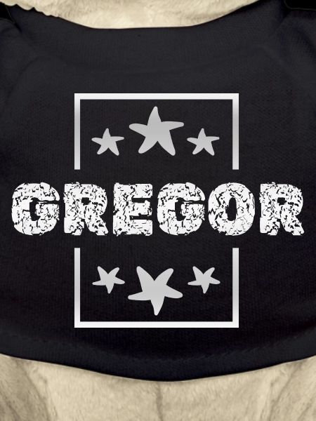 L’anniversaire de Gregor