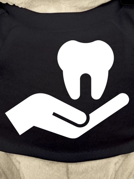 Dentist, Dentist, Dental Practice