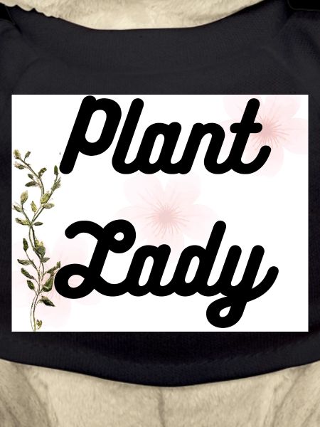 Plant Lady Botanical Script