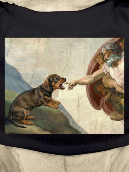 Mème de Chien Dieu Main Teckel