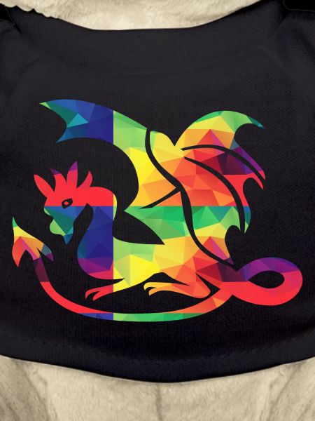 Bunter Drache