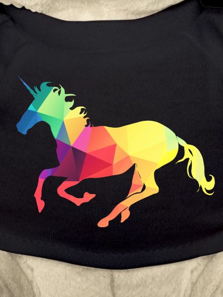 Buntes Einhorn