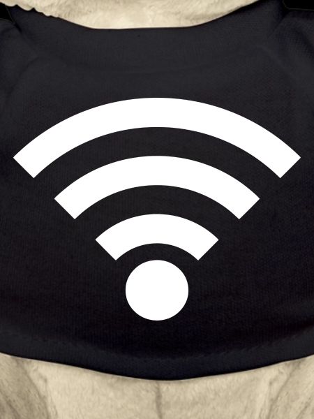 Wifi
