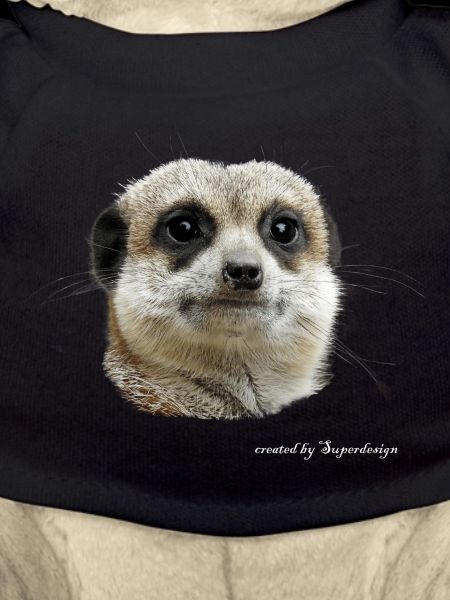 suricates