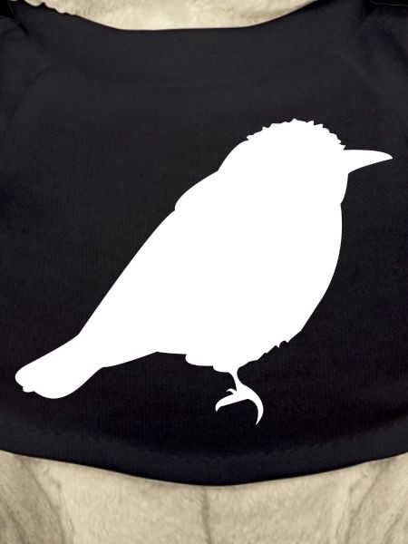 Spatz