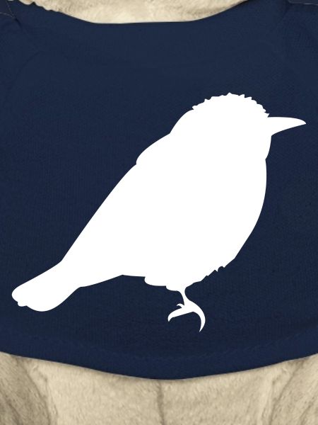 sparrow
