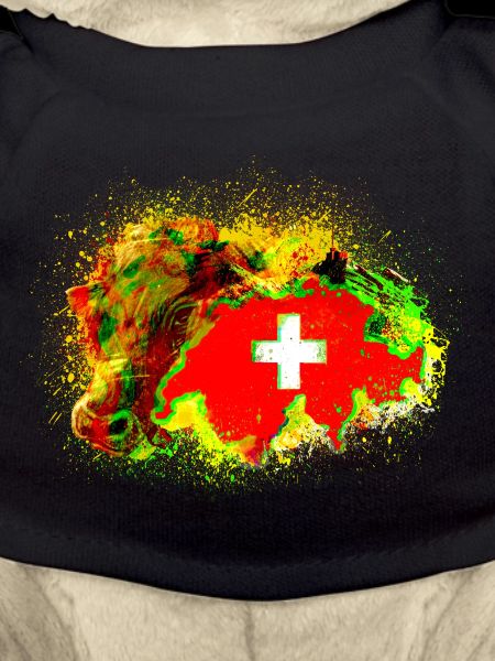 crazy switzerland
