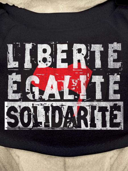 antifa freedom equality fraternity