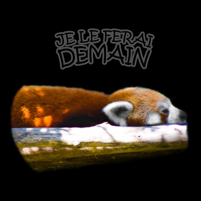 Je le ferai demain