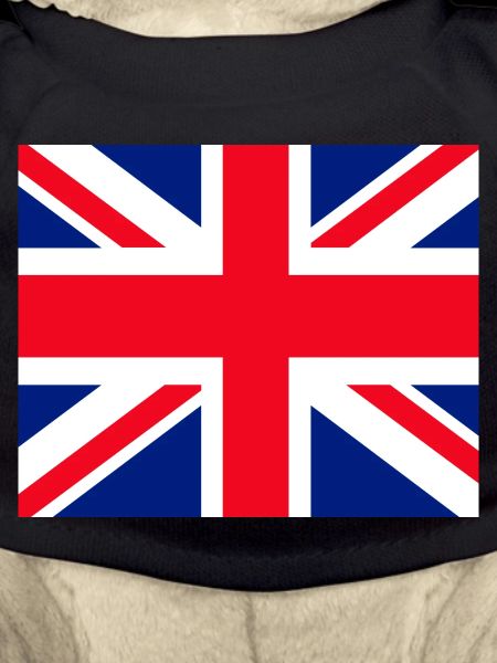 Union Jack face mask