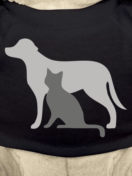 Chien et chat