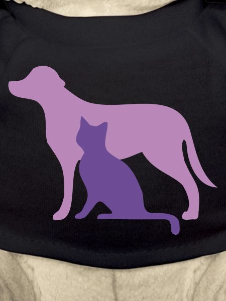 Dog and cat dog,cat,