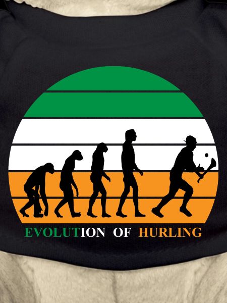 The Evolution of Hurling