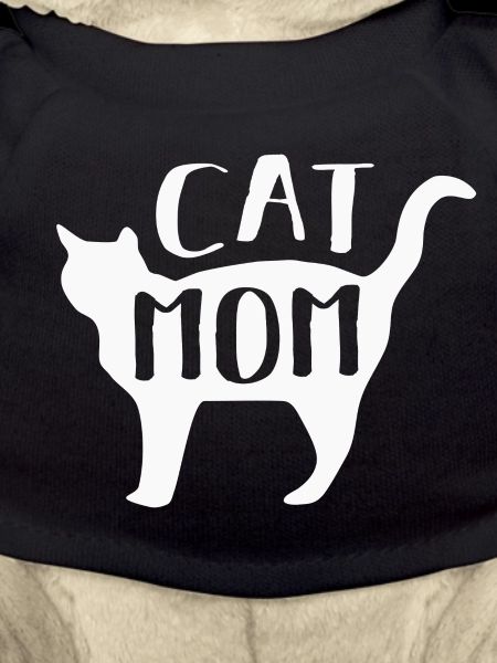 Cat Cats