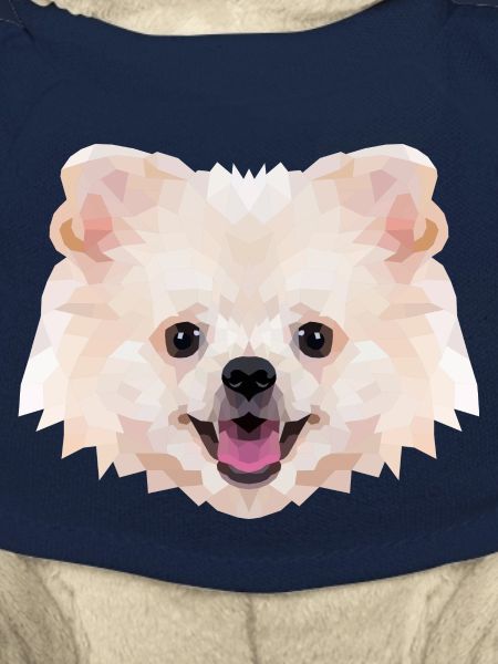 Spitz nain Polyart