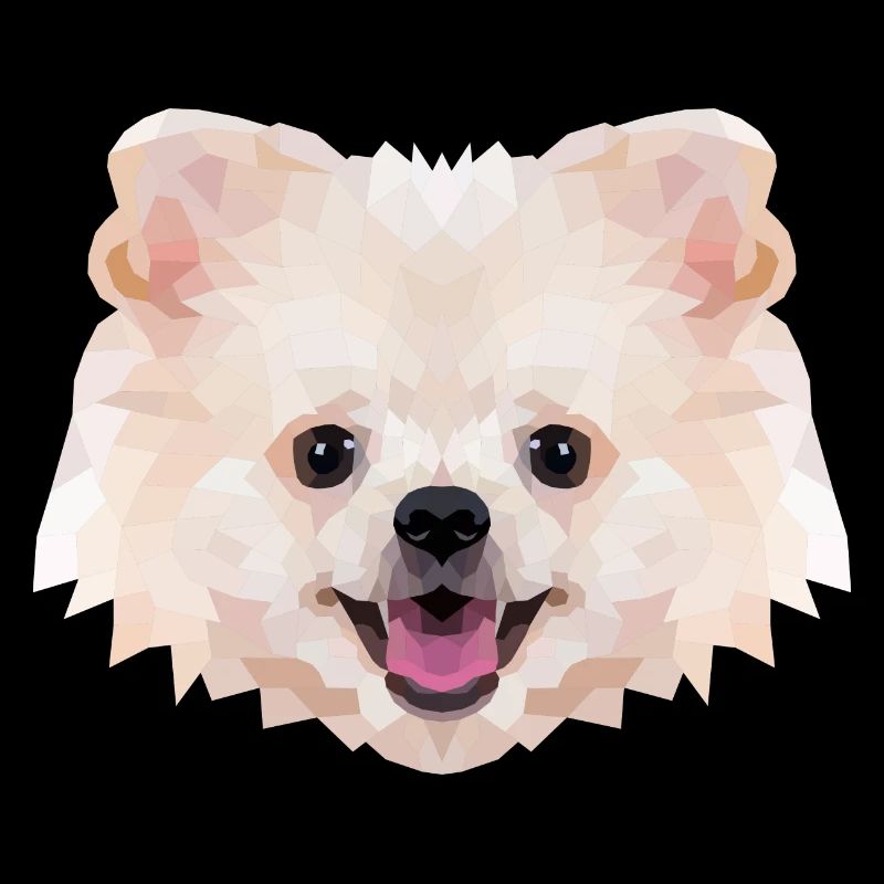 Spitz nain Polyart