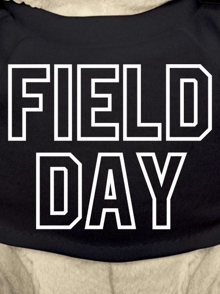 Field Day
