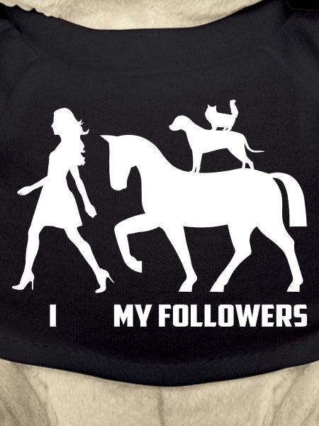 Pferd Follower