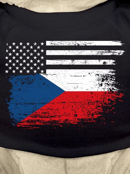 Drapeau Fusion US Tchèque