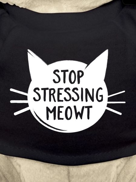 Stop Stressing Meowt - Cat